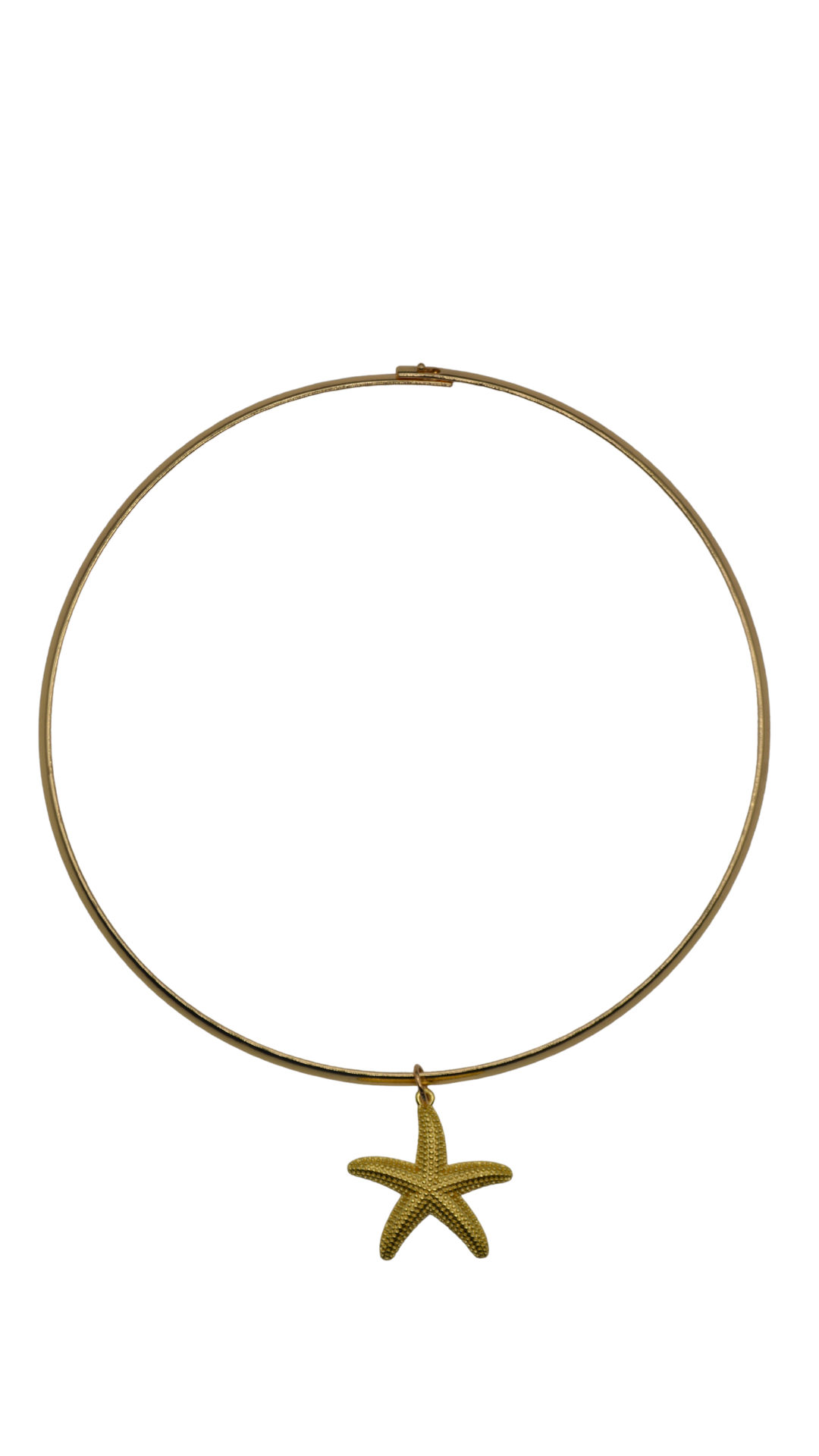 Collar Charm Necklace