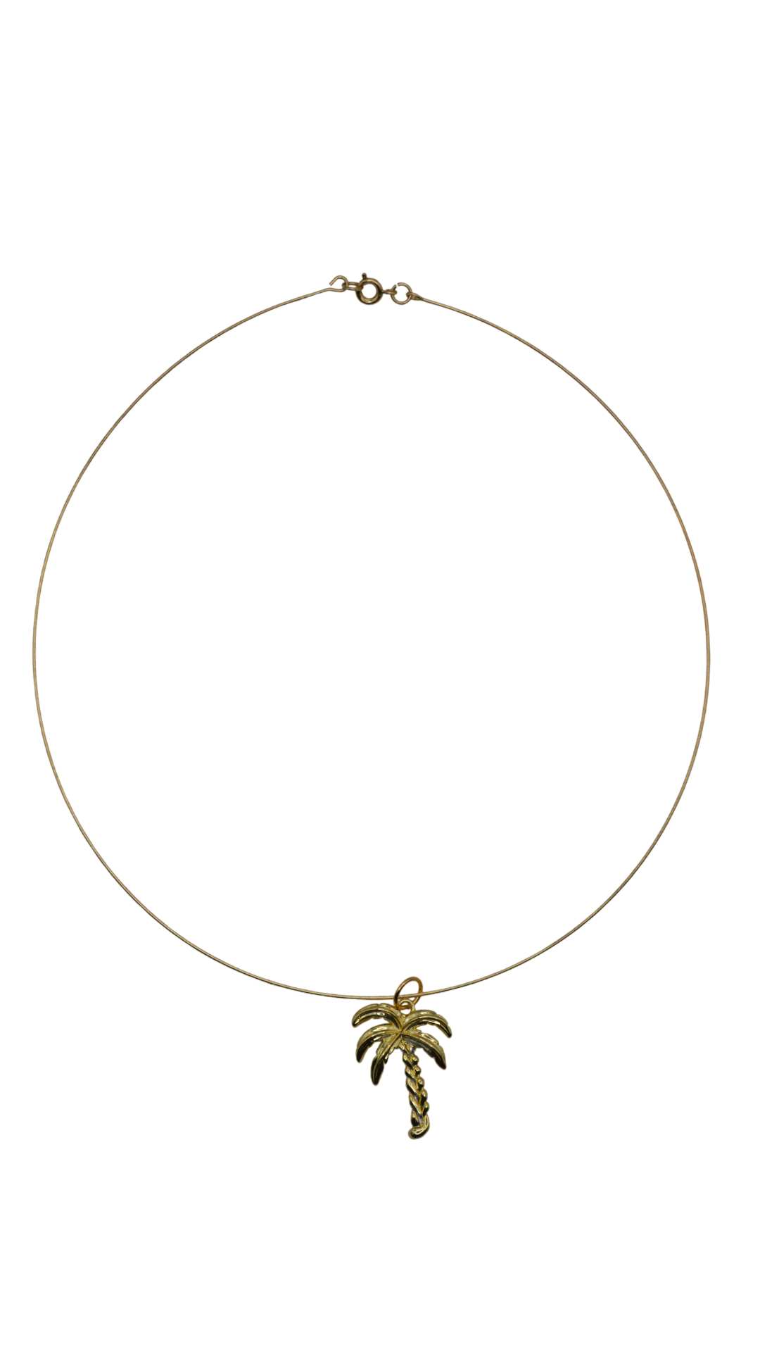 Collar Charm Necklace